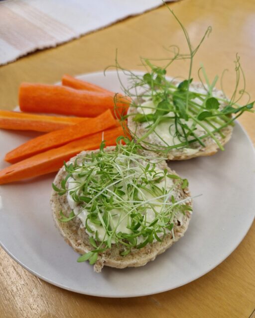 Itse kasvatettuja porkkanoita ja ituja lauatsella.