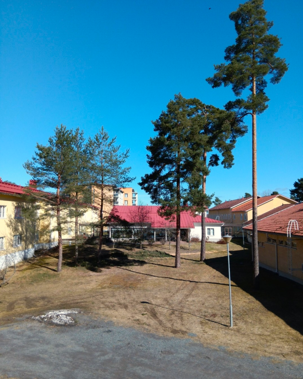 DiakonKylän puutarha on paljaampi ennen muutoksia